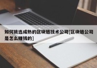 如何挑选成熟的区块链技术公司[区块链公司是怎么赚钱的]